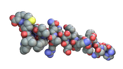 Molecule of the human hormone glucagon