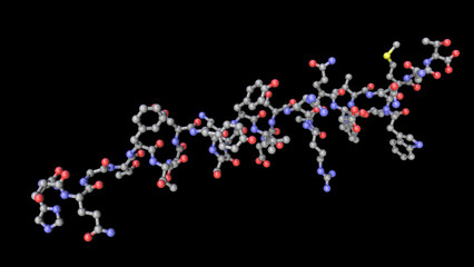 Molecule of the human hormone glucagon