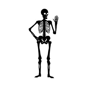 Silhouette human skeleton greeting. Symbol Halloween.