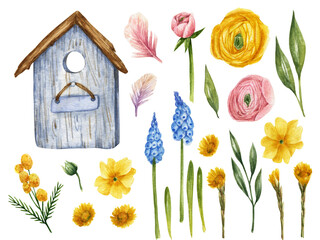 Spring flowers watercolor clipart
