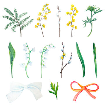 Set of spring plants watercolor illustrations item on a white background