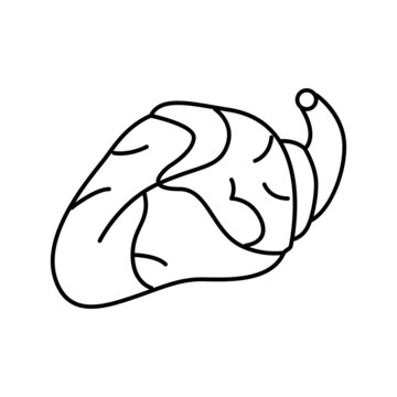heart chicken line icon vector illustration