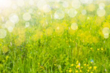 Fototapeta na wymiar Abstract defocused background - grass, flowers, bokeh.