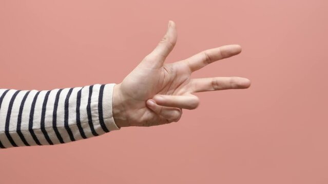 Female hand counting from 0 to 5 on pink background. Woman shows fist fist, then one, two, three, four, five fingers and bends the fingers, counting from five to one. Close up. 4k video