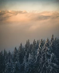 Rolgordijnen Mistig bos Winter Forest with snowcaped Trees in Austria Europe