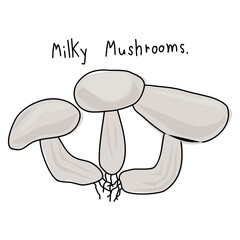 Mushrooms on a white background. Hand drawn vegetable vector. Book illustration. Vegetable vector for decoration. Cartoon vegetables. Wrapping paper pattern.