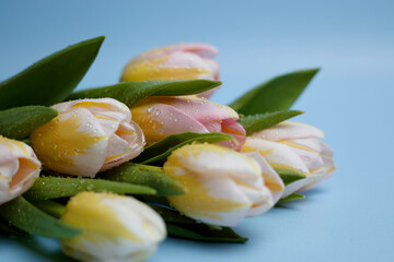 tulips on a blue background