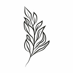 Leaf logo design, vector natural concept inspiration, leaf icon. Leaves