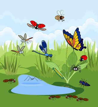 Cartoon pond landscape with many species of insects living near the water isolated on white background