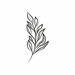 Leaf logo design, vector natural concept inspiration, leaf icon. Leaves