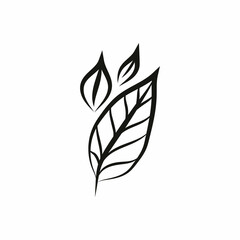 Leaf logo design, vector natural concept inspiration, leaf icon. Leaves