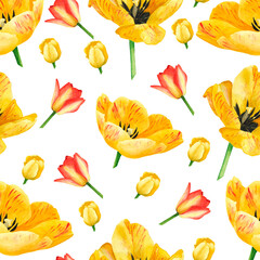Tulips seamless pattern on white background. Watercolor hand drawing illustration. Art for decoration and design