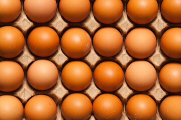 Brown chicken eggs are in a cardboard tray.