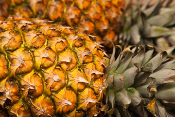 Whole pineapples with green ponytails close-up.