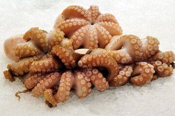 Close up of fresh Octopus on ice