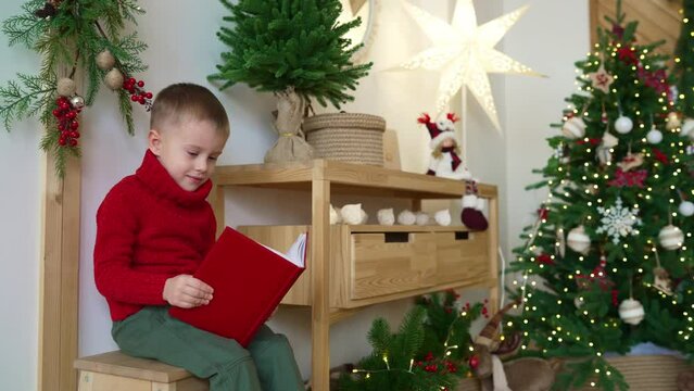 A little boy in a red sweater reads a red book. A boy in a red sweater in a New Year's interior.
