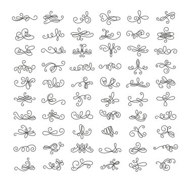 Collection of graceful linear squiggles and patterns. Elements for creating designs.