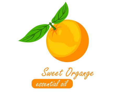 sweet orange essential oil  icon vector illustration 