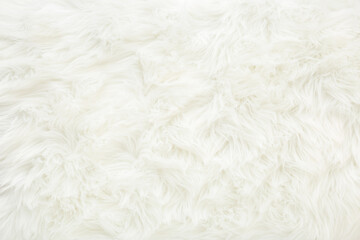 Light white furry carpet background. Empty place for text. Closeup. Top down view.