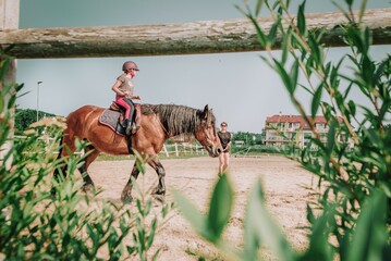 Lekcja jazdy konnej na lonży w stadninie konnej.  Jazda konna na padoku - obrazy, fototapety, plakaty