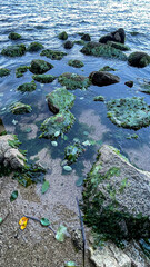 stones in water
