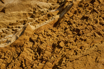Beach Rock Surface