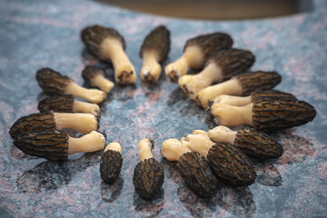 Many spring morel mushrooms put in circle lie on red granite table outdoors. The idea of collecting the first mushrooms, find and cook delicious, delicious mushrooms, forest walks