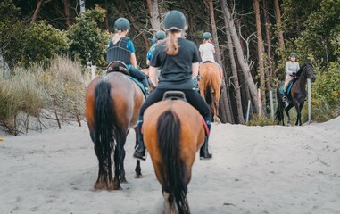 Obóz konny. Wyprawa na koniach na plażę. Wspólny  spacer na koniach