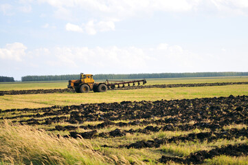 Russian field - the beauty of nature and black earth