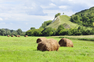 Russian field - the beauty of nature and black earth