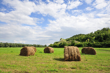 Russian field - the beauty of nature and black earth