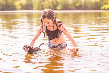 Outdoor recreation with pets. A 10-year-old girl with two Chihuahuas swims in a river in the summer.