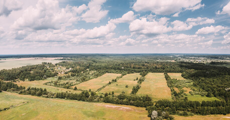 Aerial View Spring Green Field With Windbreaks Landscape. Top View Of Field And Forest Belt. Drone View Bird's Eye View. A Windbreak Or Shelterbelt Is A Planting Usually To Protect Soil From Erosion.