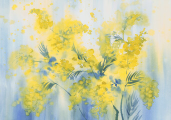 Mimosa flower in the yellow background watercolor