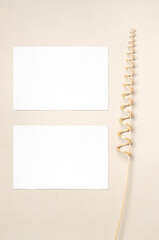 White invitation cards mockup and a decorative branch from a dry vine. Beige background. Copy space.