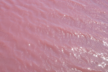 Natural pink water in salt lake. Water surface with small waves. Colorful abstract background.