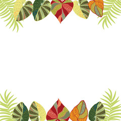 Vector tropical jungle frame with decorative leaves, border with place for text - 489073362