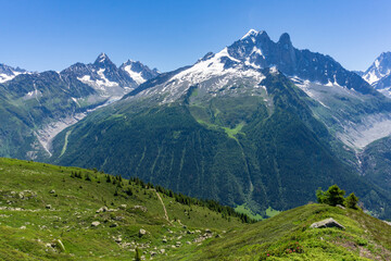 View of the Aiguille Verte in the Mont Blanc massif. Alps.