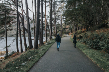 Ireland © Wodzownik