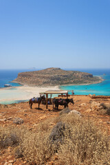 Horses at the resting place on the way to the famous Balos beach, Crete Island, Greece