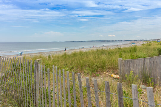 Beach Day With Fence And Green Beach Grass