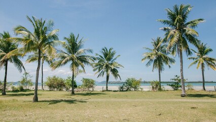 Krabi © Wodzownik