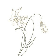 Lineart flower