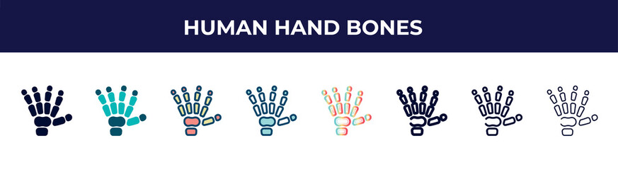 human hand bones icon in 8 styles. line, filled, glyph, thin outline, colorful, stroke and gradient styles, human hand bones vector sign. symbol, logo illustration. different style icons set.