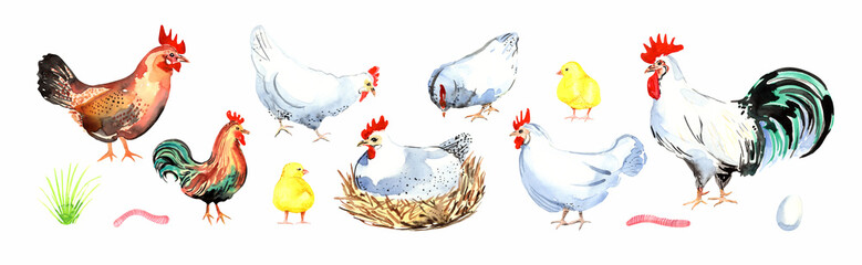 Happy chicken clipart. Farm Animals, Rooster, Hen, Bio Eggs, Coop, Chicks, Nest, Eco Village. Isolated elements. Stock illustration. Hand painted in watercolor.