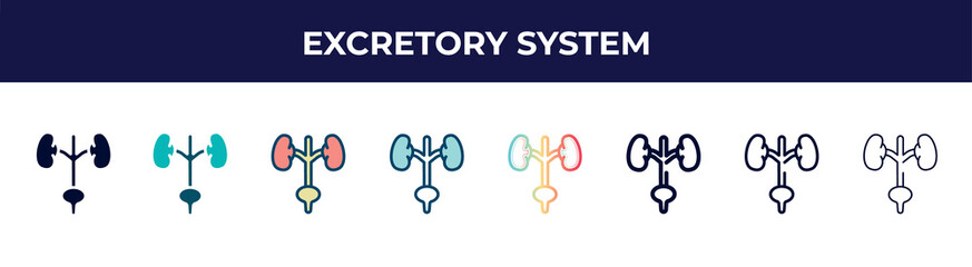 excretory system icon in 8 styles. line, filled, glyph, thin outline, colorful, stroke and gradient styles, excretory system vector sign. symbol, logo illustration. different style icons set.