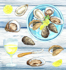 Watercolor oysters seafood. Crawfish Boil, Shrimps, Seafood Fish, Kitchen Watercolor Illustration, printable poster.  Isolated element on a white background. Hand painted in watercolor.
