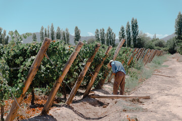 person working on a log