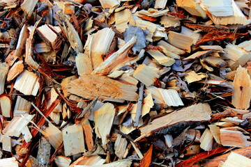 Log trunks pile, the logging timber forest wood industry. Wooden trunks timber harvesting.