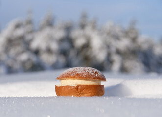 Traditional Finnish pre-Easter bun or lent bun fllled with cream and almond paste and powdered sugar on top in deep fresh snow in winter forest.